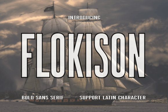 Flokison: A Modern Sans Serif Font for Campaign Clarity