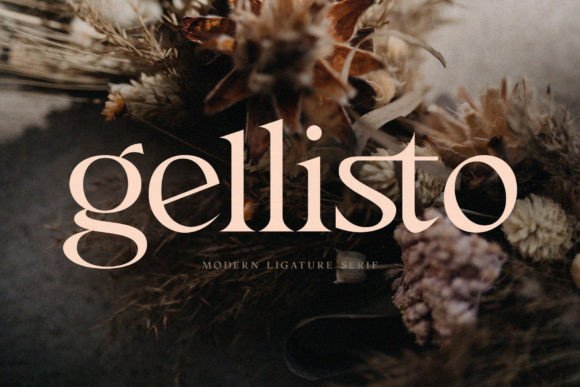 Gellisto: A Modern Sans Serif Typeface for Campaign Headlines