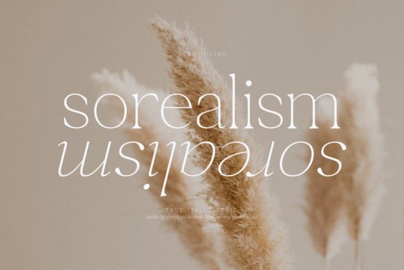 Sorealism: A Sophisticated Serif Font for Real Branding